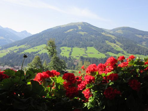 Ausblick Richtung Schatzberg Ausblick Richtung Schatzberg